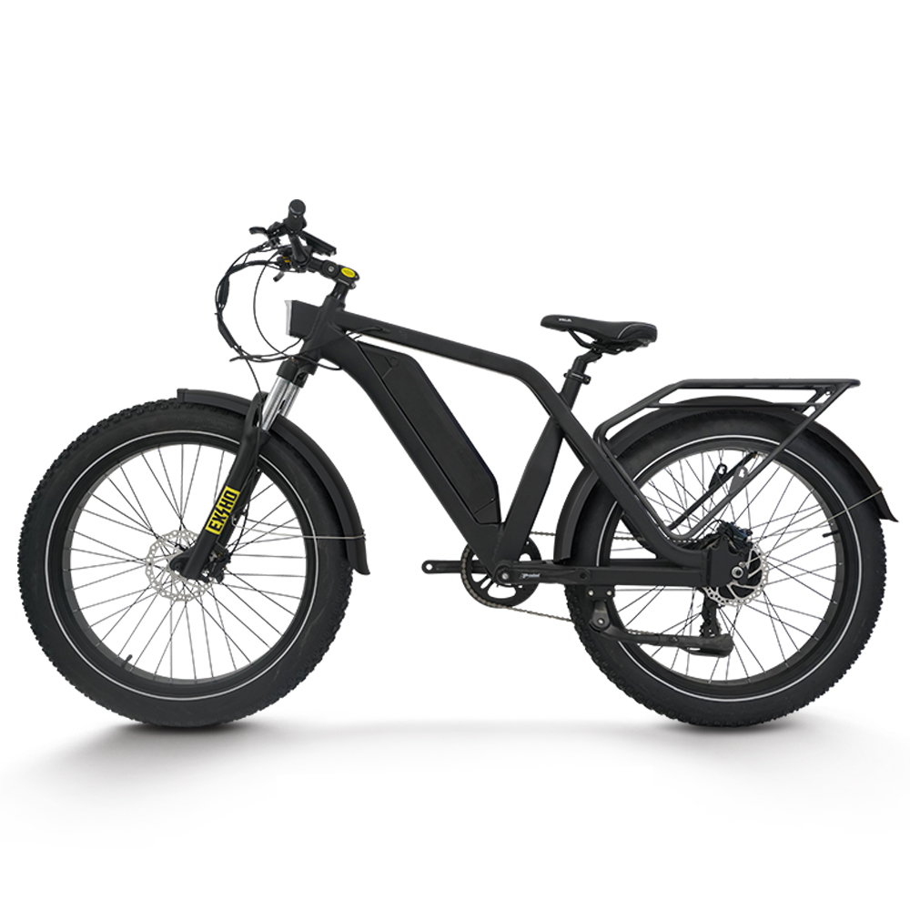 Vélo électrique pour adultes,  - 48V 1500W Rear Hub Motor With Battery avis et prix