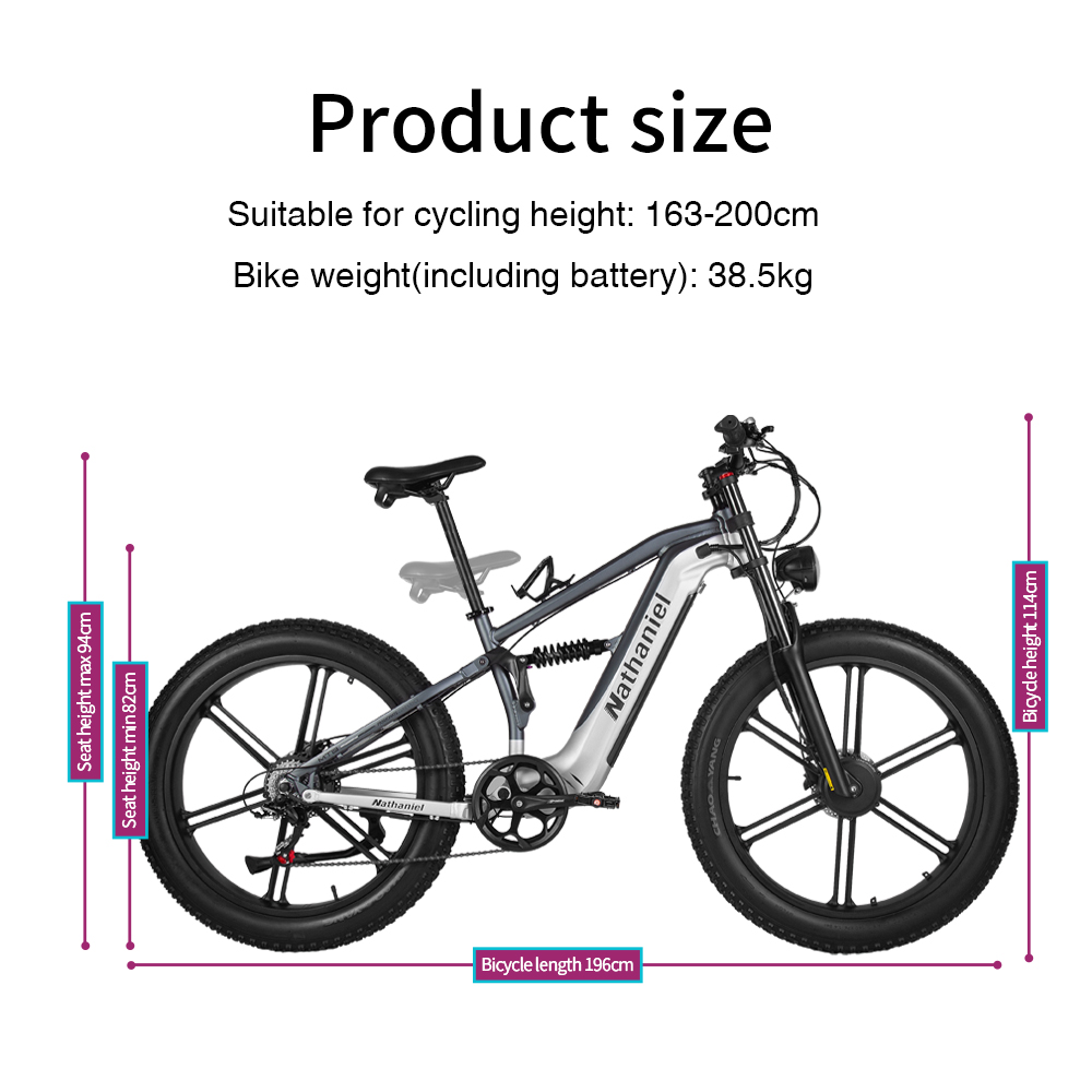 Nathaniel SYR09 vélo électriqu - Dual Motor Ebike Kit 2000W avis et prix